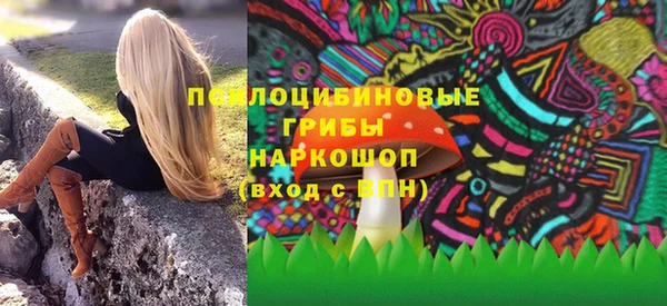 крисы Лабытнанги