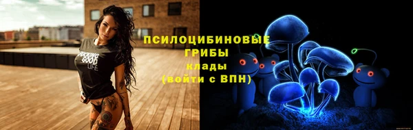 дживик Пенза