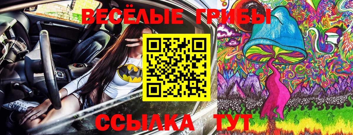 Псилоцибиновые грибы GOLDEN TEACHER  Псилоцибиновые грибы Cubensis  Вход с VPN  Джанкой 