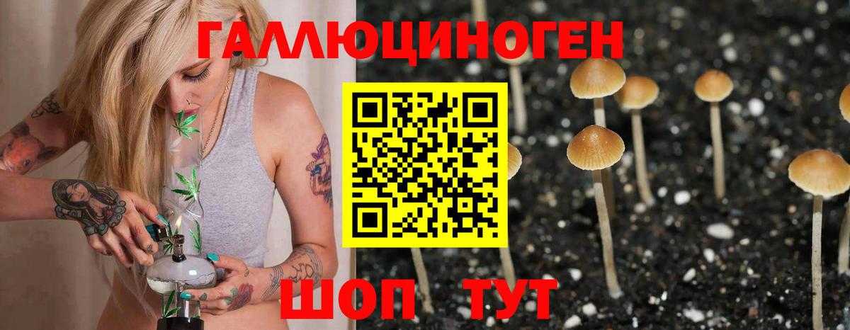 Галлюциногенные грибы GOLDEN TEACHER Джанкой